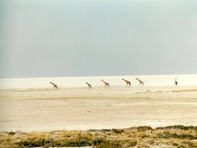 h9b87450.jpg