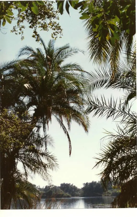 hc5738ff.jpg
