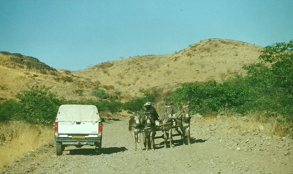 hc7bc97d.jpg