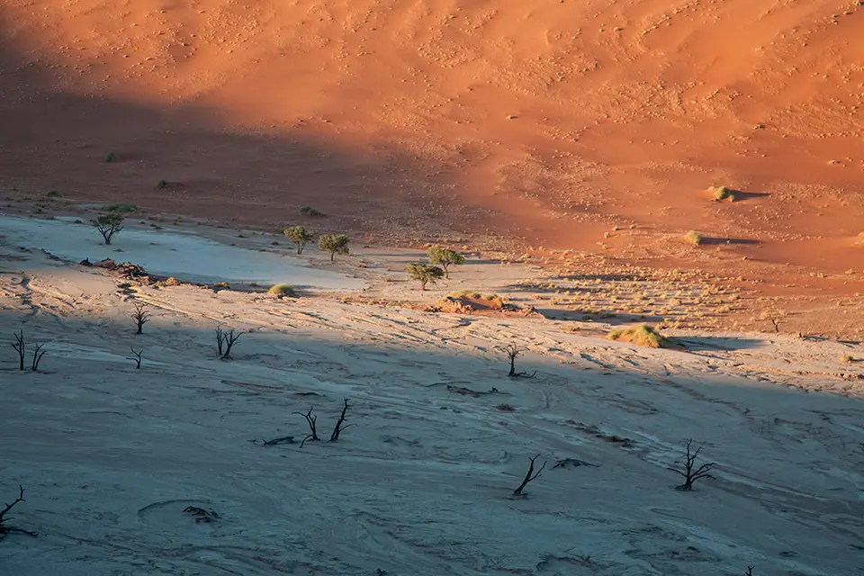 Death-Vlei-frhmorgens.jpg