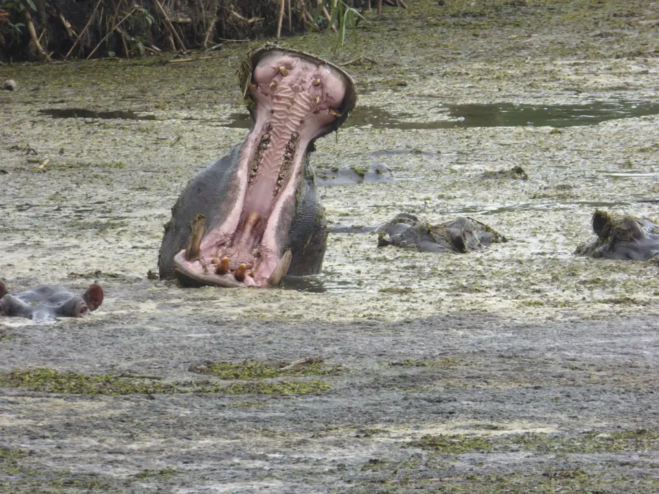 1030482-2.jpg