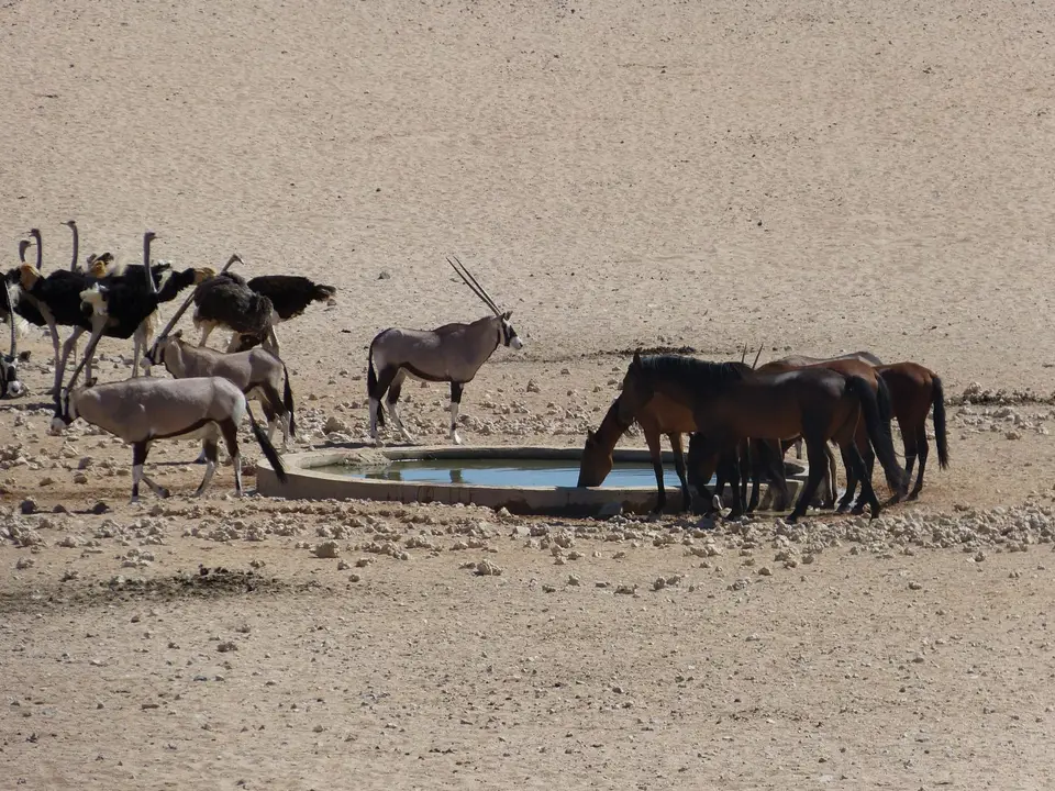 Namibia-2013-(1109).JPG