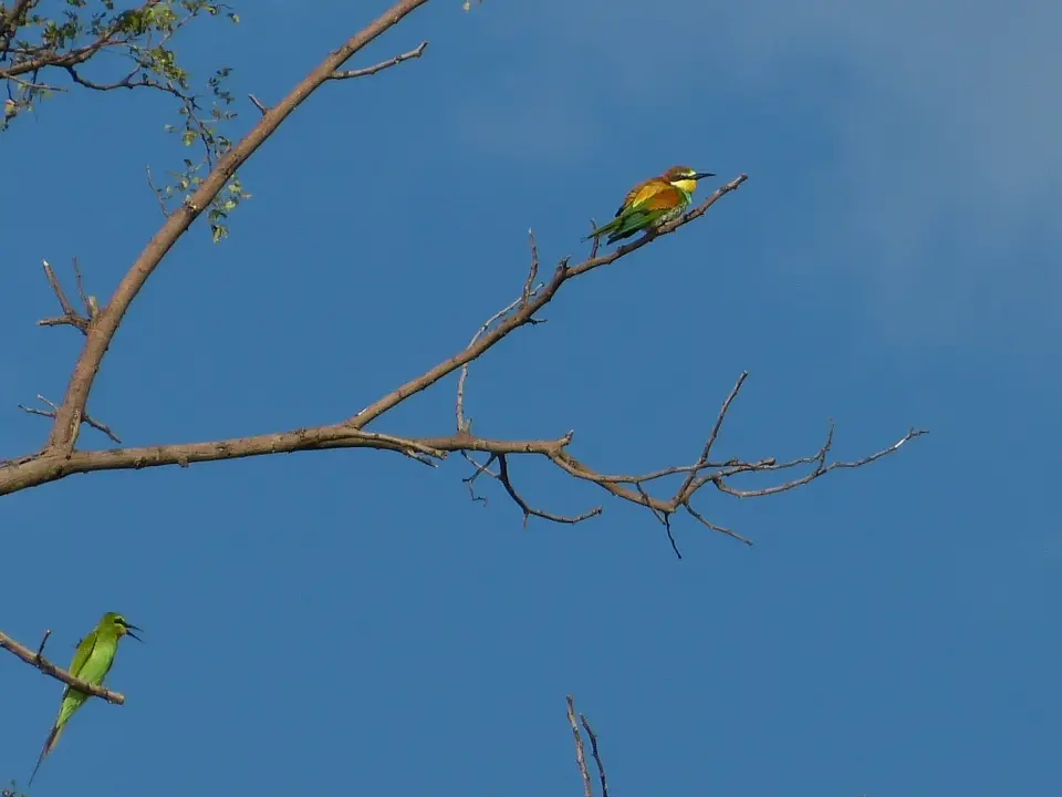 P1000094.jpg