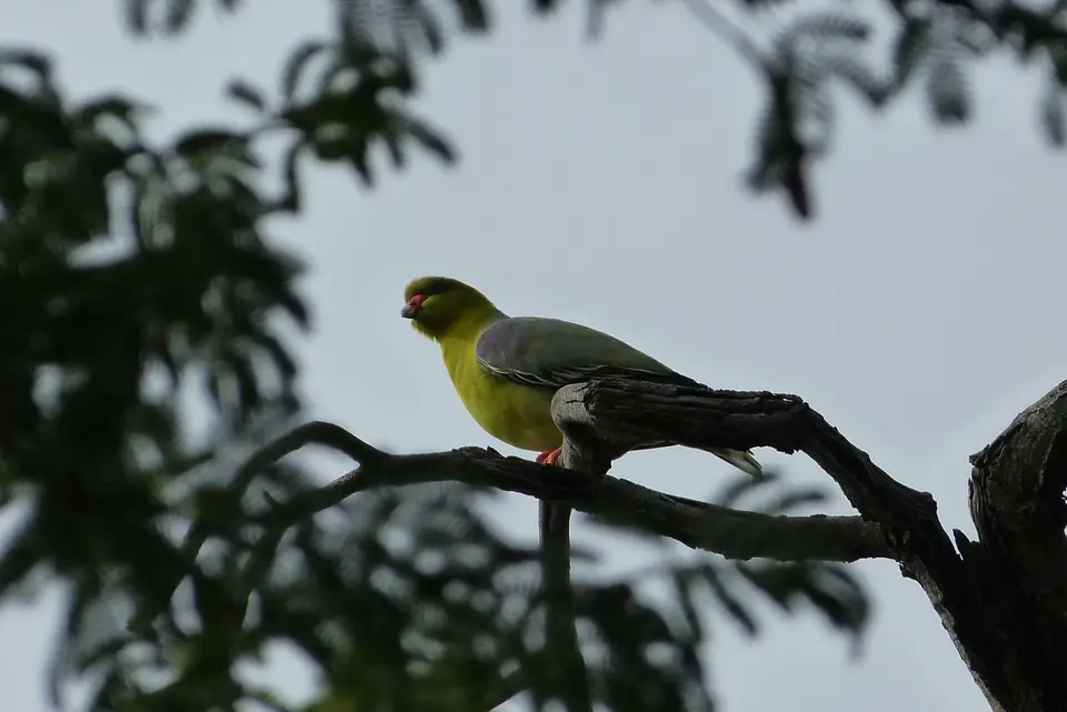 P1000143.JPG