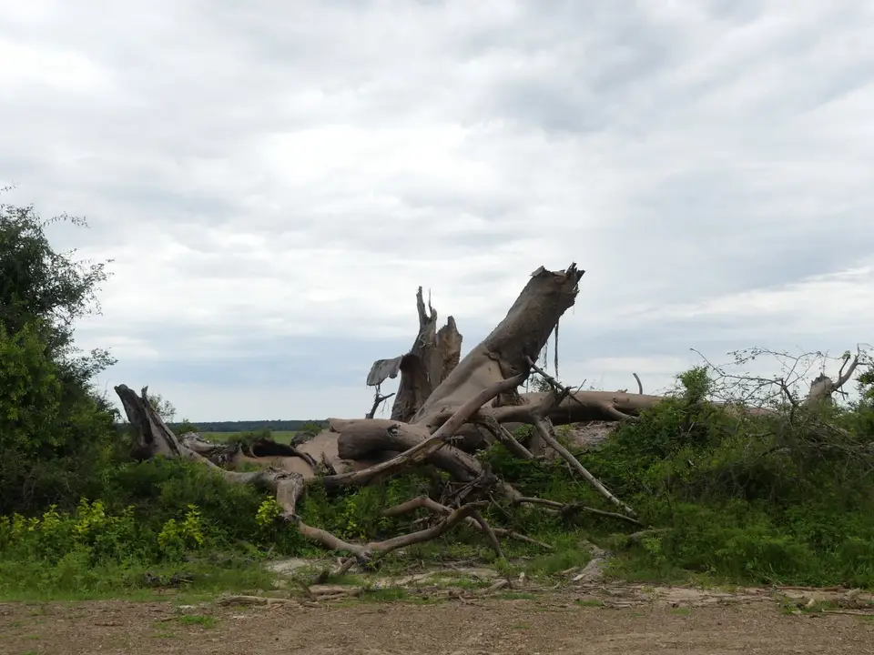 P1000180.JPG
