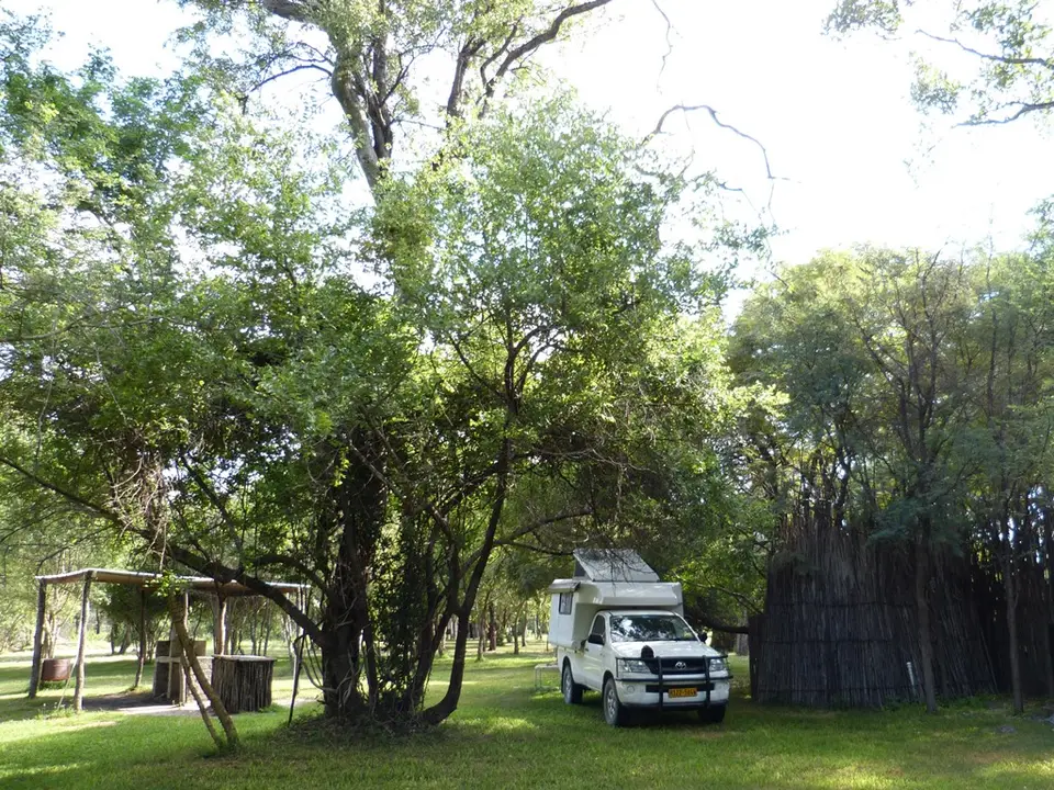 P1000185.jpg