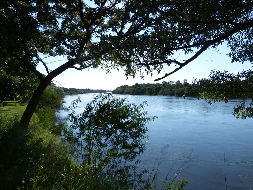 P1000212.jpg