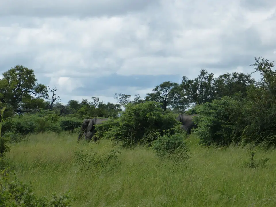 P1000234.JPG