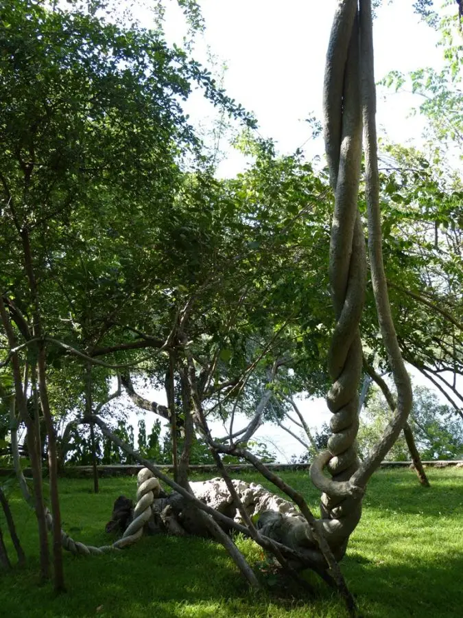 P1000266.jpg