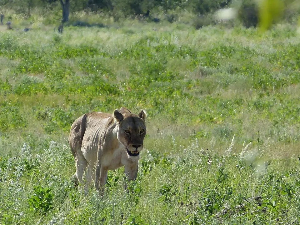 P1000360.jpg