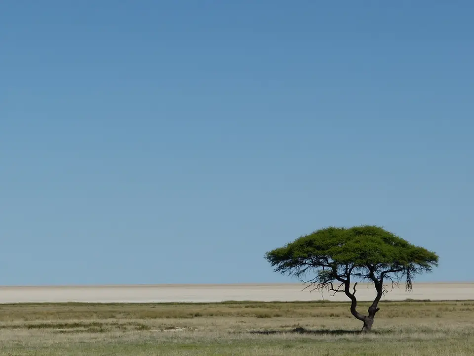 P1000428.jpg