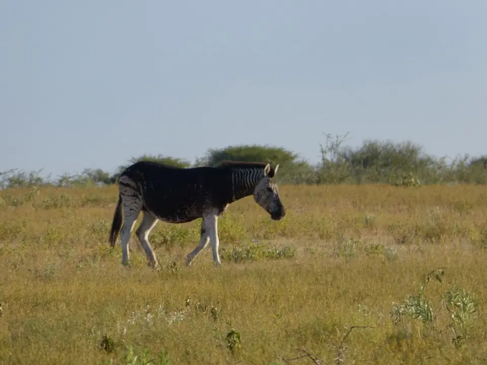 P1000566.JPG