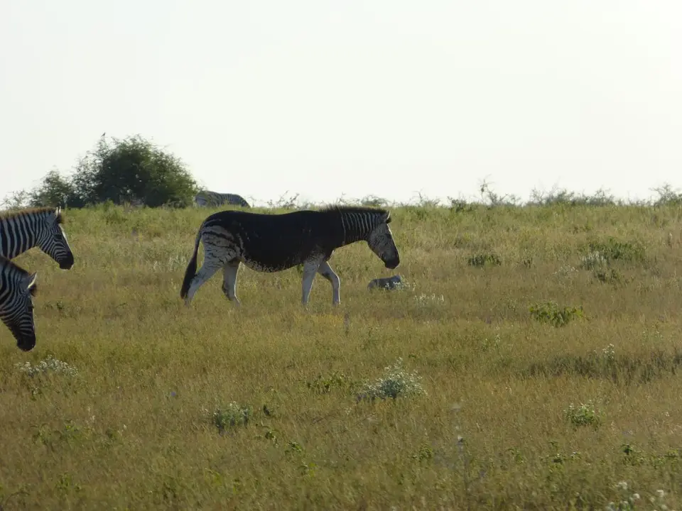 P1000570.JPG
