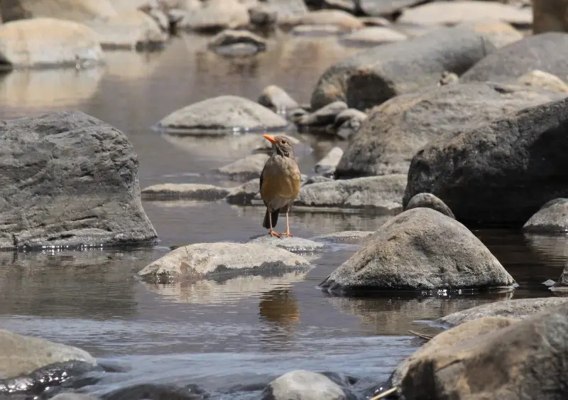 hc03fda4.jpg