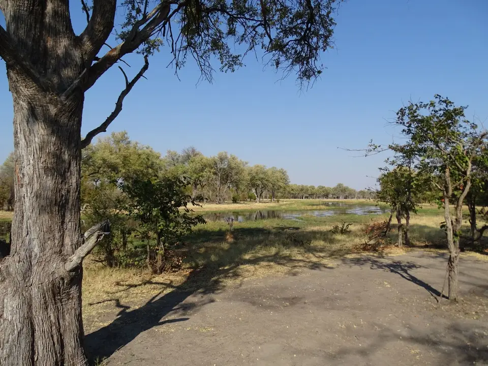 DSC08256.JPG