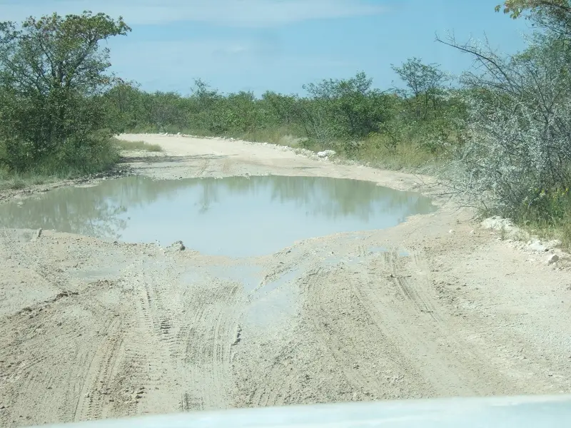 C38Etosha.JPG