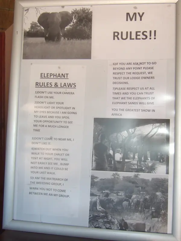 k-MyRulesMR001.JPG