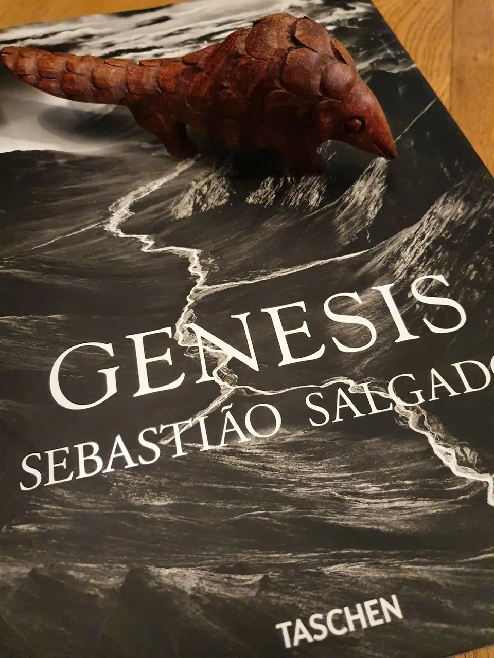 Salgado1.jpg
