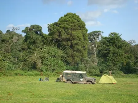 13.ForestCastle.JPG