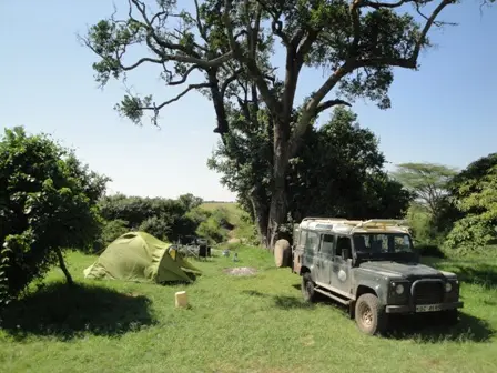 2.CrocodileCamp.JPG