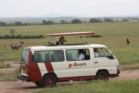 Pollmann.JPG