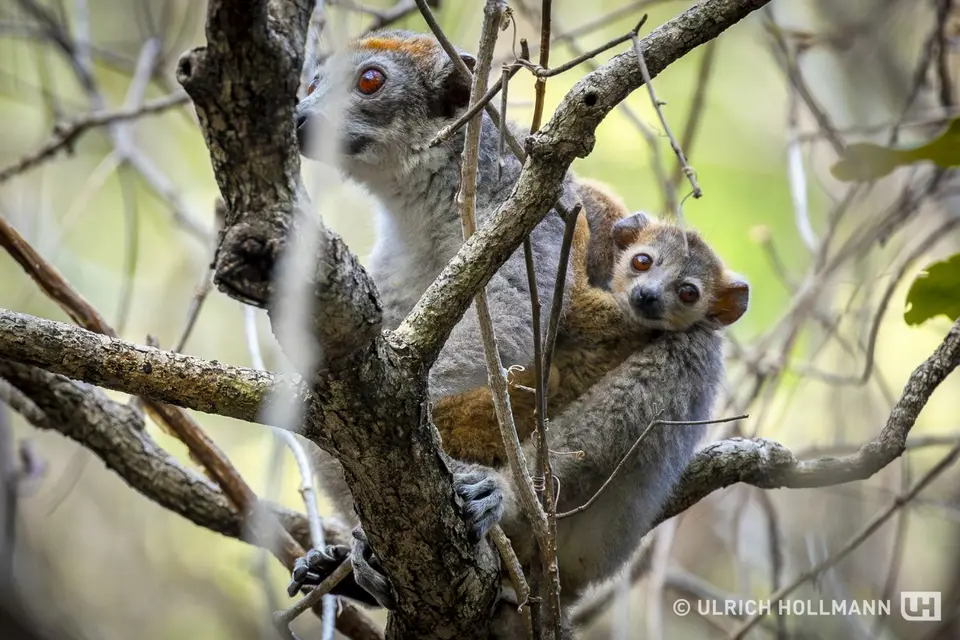 Madagaskar_0069.jpg