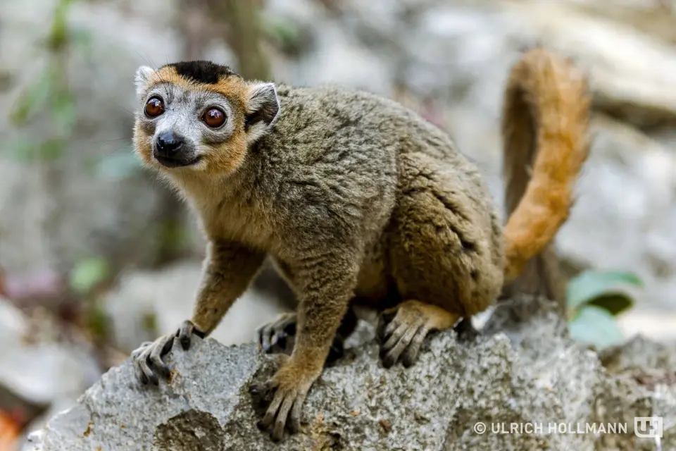 Madagaskar_0070.jpg