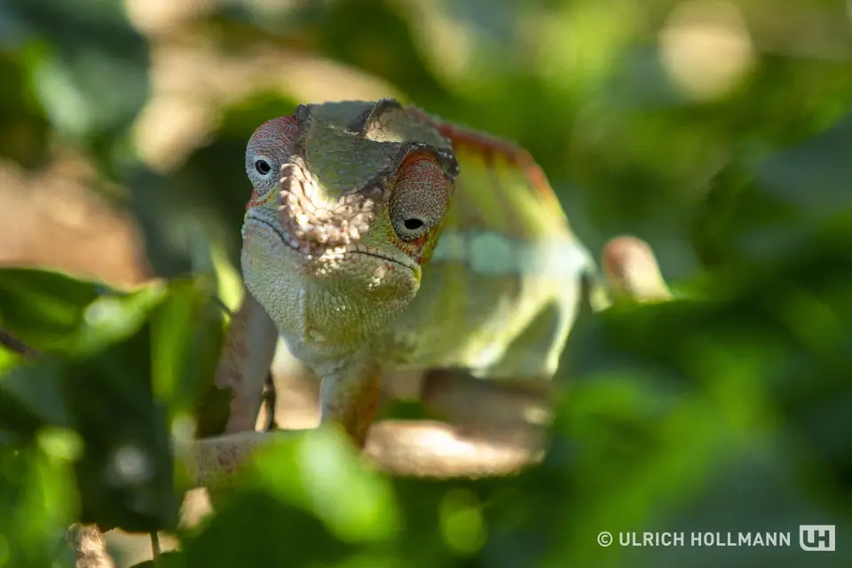 Madagaskar_0093.jpg