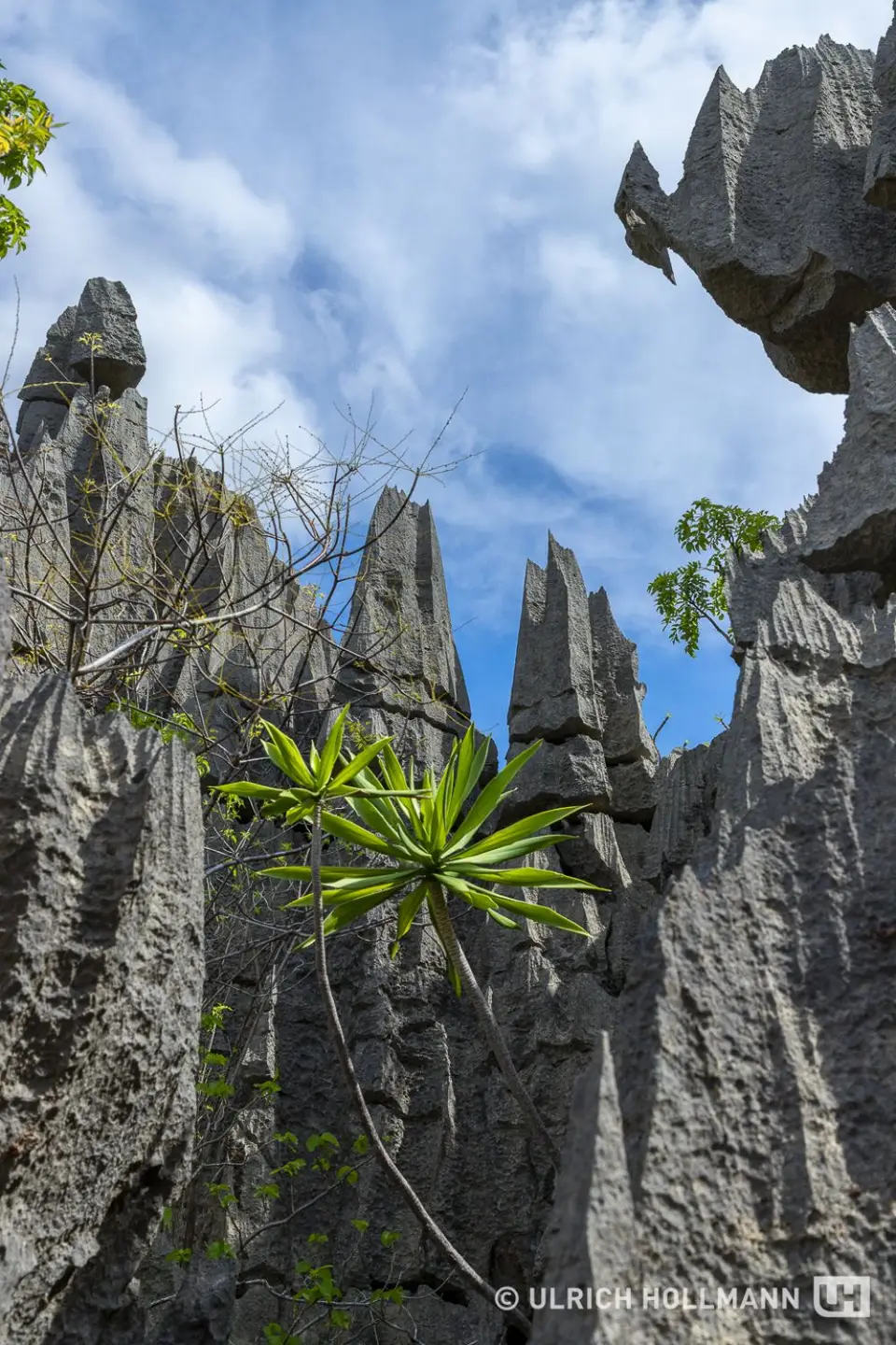Madagaskar_0097.jpg