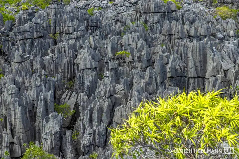 Madagaskar_0107.jpg