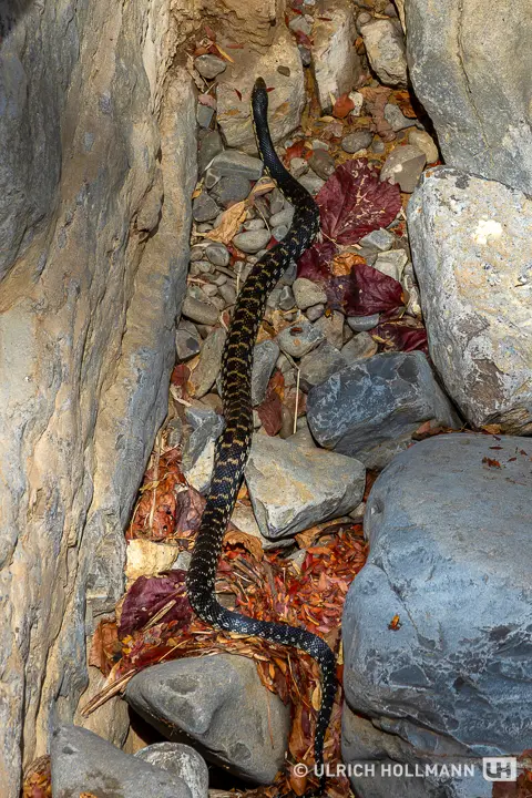 Madagaskar_0118.jpg