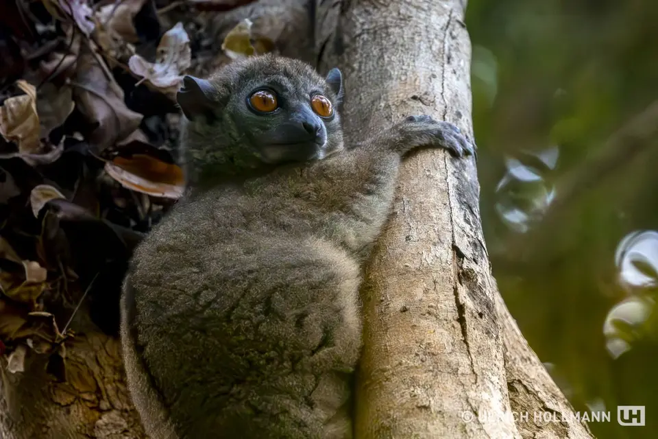 Madagaskar_0120.jpg