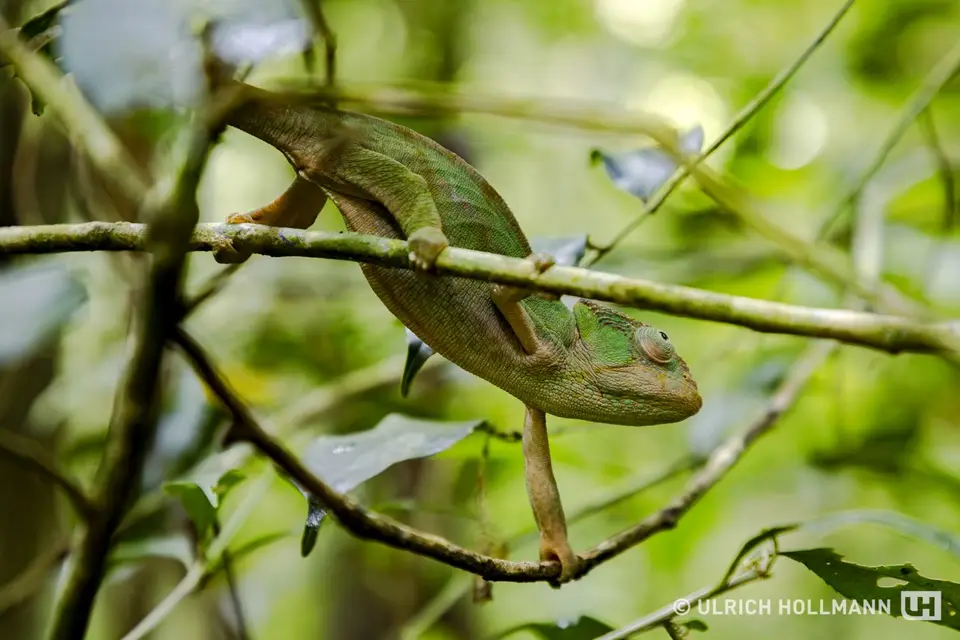 Madagaskar_0151.jpg