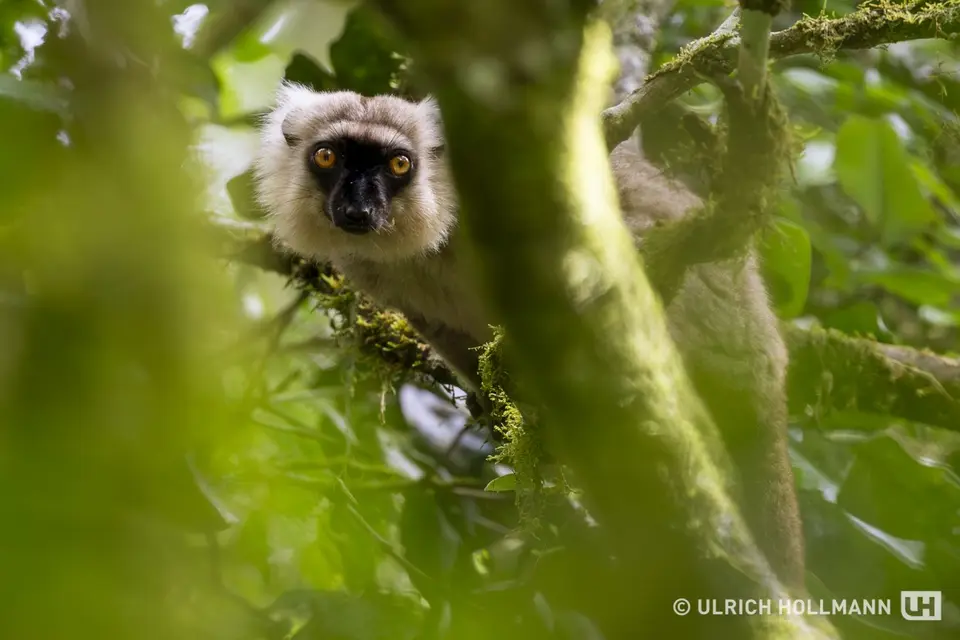 Madagaskar_0154.jpg