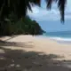 PraiaBoiBoi.png
