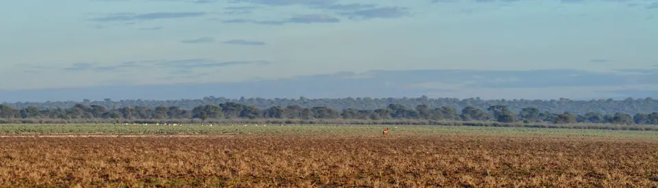 06.01KaaGameViewingTrail04.jpg
