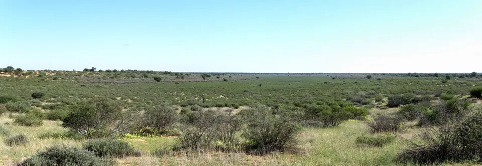 06.01KaaGameViewingTrail07.jpg