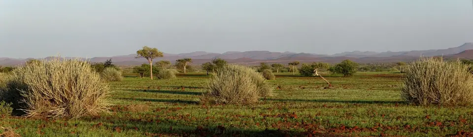 16.01LandschaftenntlangderPistenachSesfontein04.jpg