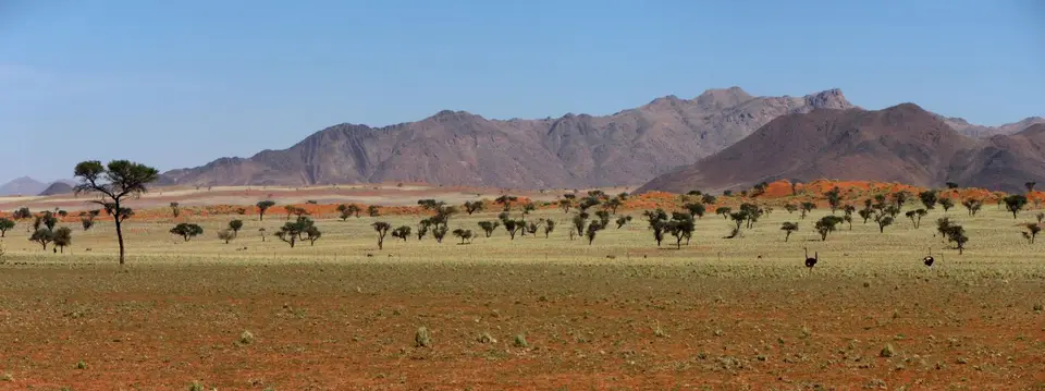21.03FahrtinsNamibRandNatureReserve10.jpg
