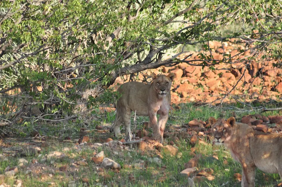 DSC_2841.JPG