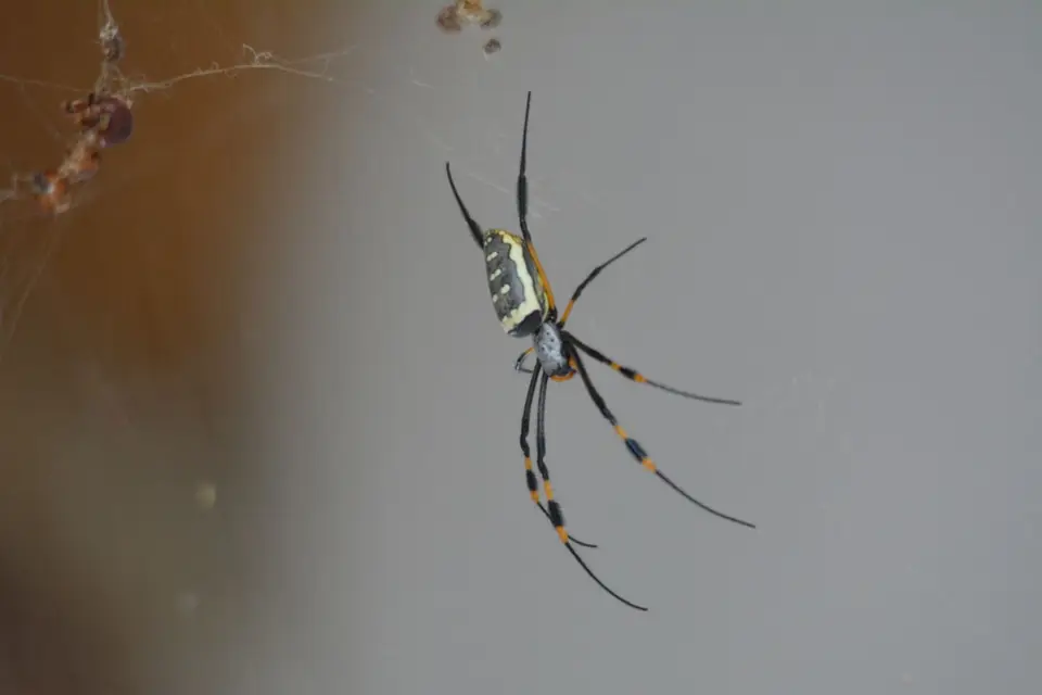 DSC_5836.JPG