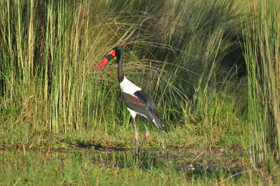DSC_6245.JPG