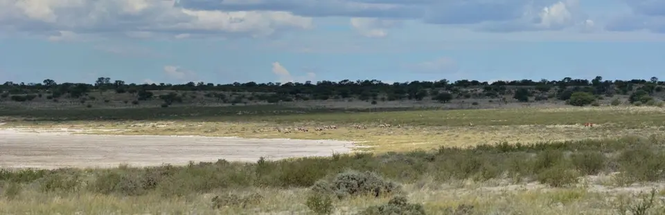k-04.05LandschaftanderKganeundPeachPan08.jpg