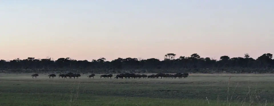 k-14.01KhaudumamMorgen09.jpg
