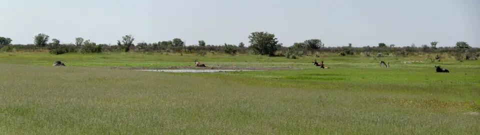 k-15.01EtoshaNationalPark04.jpg
