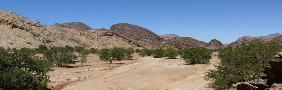 k-16.01VonPalmwaginddenGanamub04.jpg