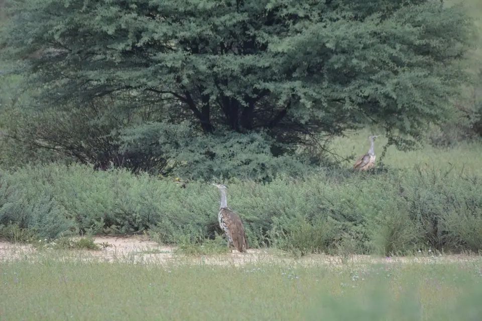 k-DSC_5574.JPG