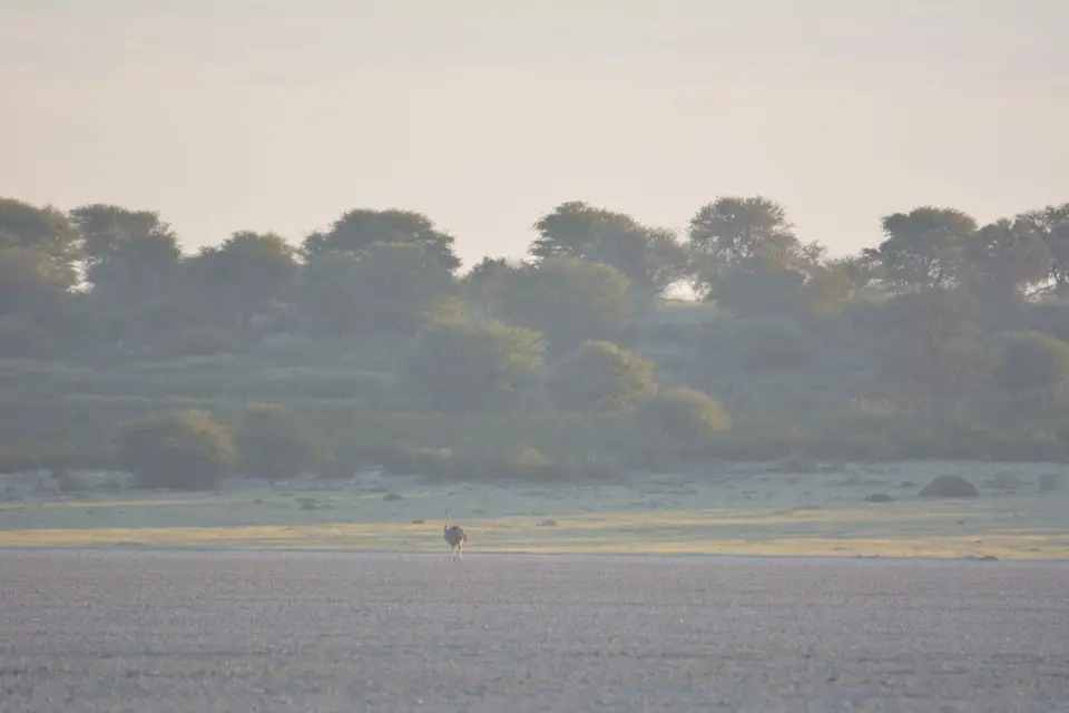 k-DSC_5724.JPG