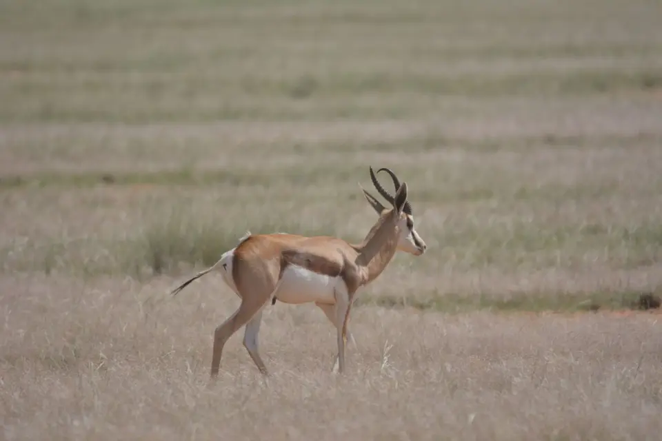 k-DSC_6366.JPG