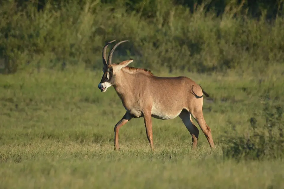 k-DSC_8016.JPG